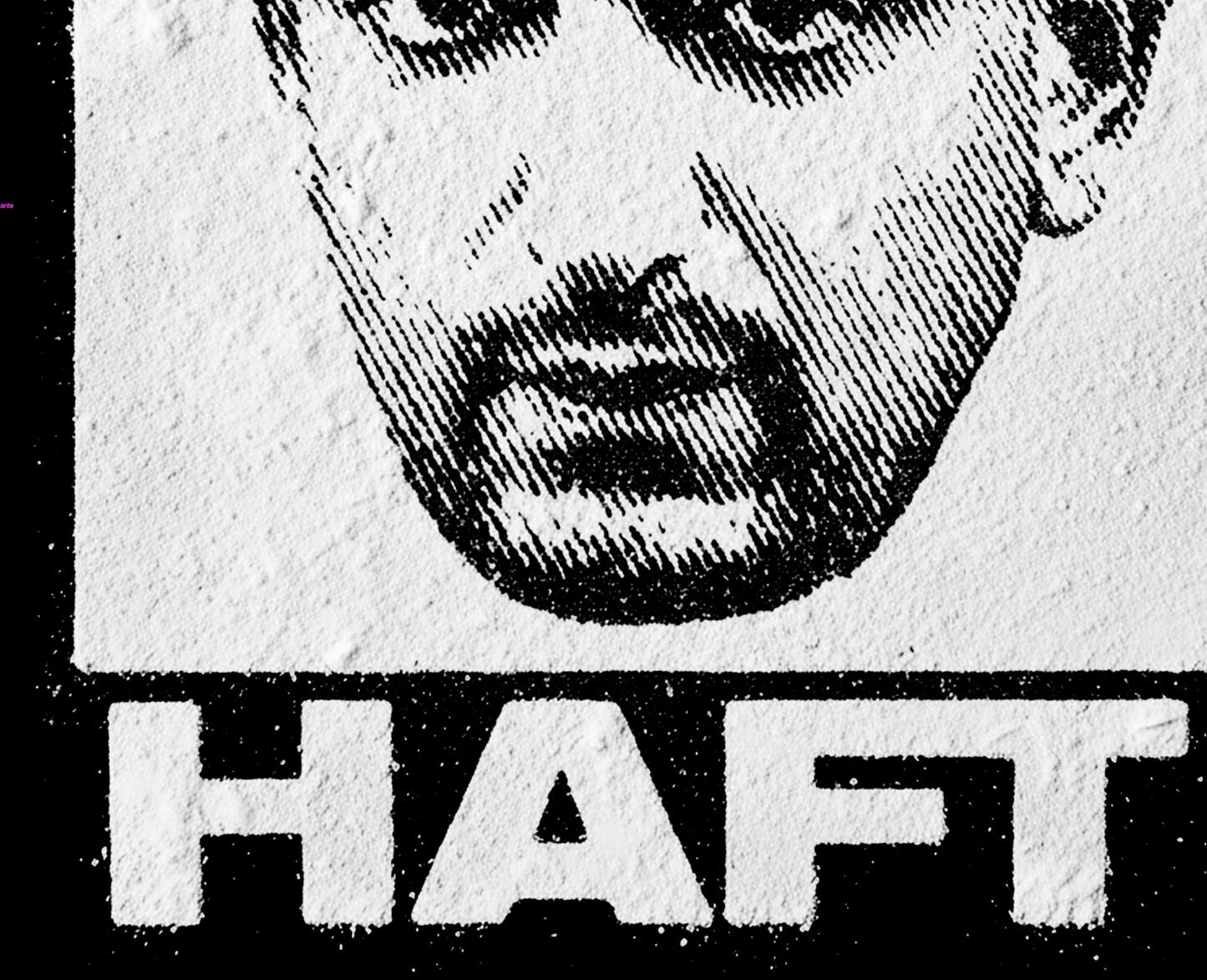 Free Hafti Tee schwarz